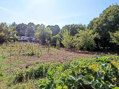 Maison, 56 m²