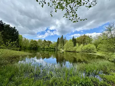 Terrain, 17 892 m²