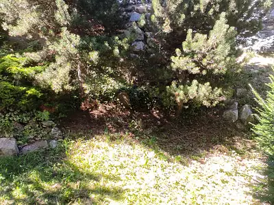 Appartement, 35 m²
