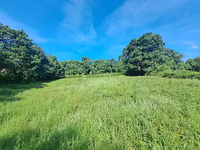 Terrain, 1 021 m²