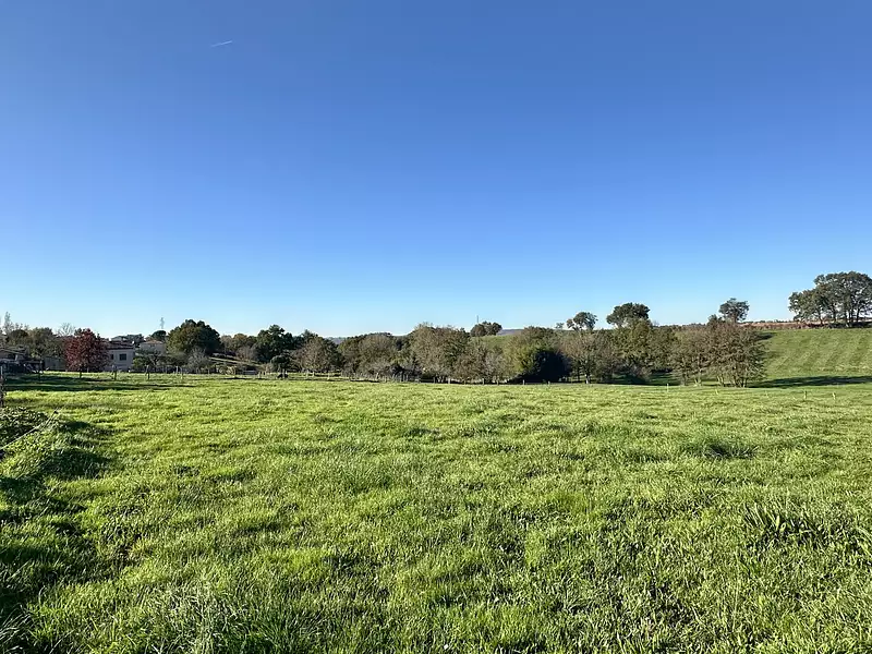 Terrain, 775 m²