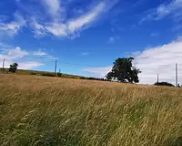 Terrain, 5 436 m²