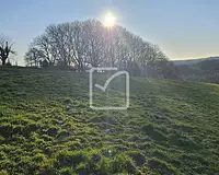 Terrain, 1 572 m²