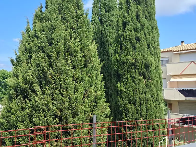 Appartement, 67,11 m²