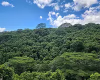 Terrain, 827 m²
