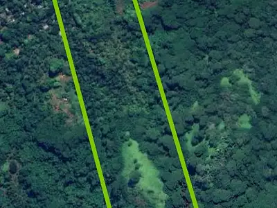 Terrain, 55 000 m²