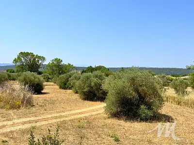 Terrain, 2 587 m²