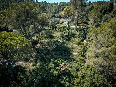 Terrain, 1 323 m²