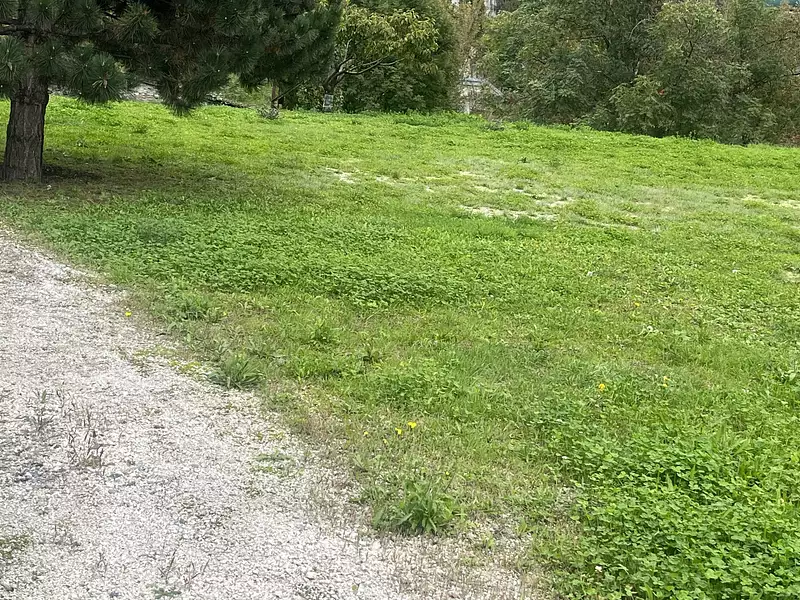 Terrain, 781 m²