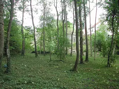 Terrain, 3 133 m²