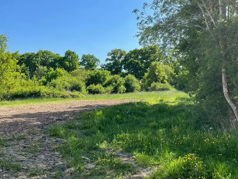 Terrain, 1 262 m²