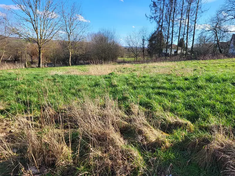 Terrain, 1 008 m²