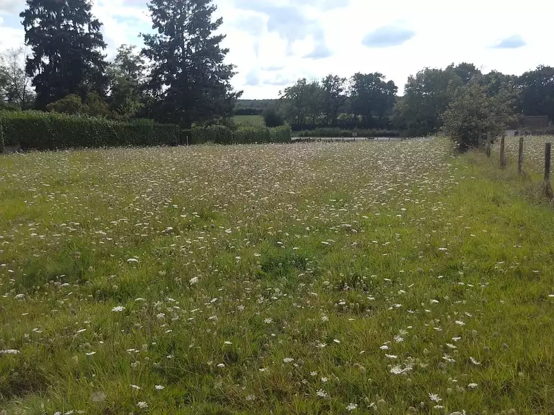 Terrain, 2 500 m²