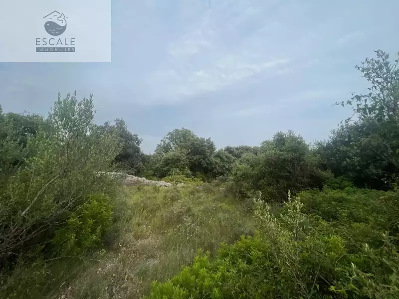 Terrain, 6 091 m²