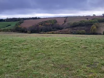 Terrain