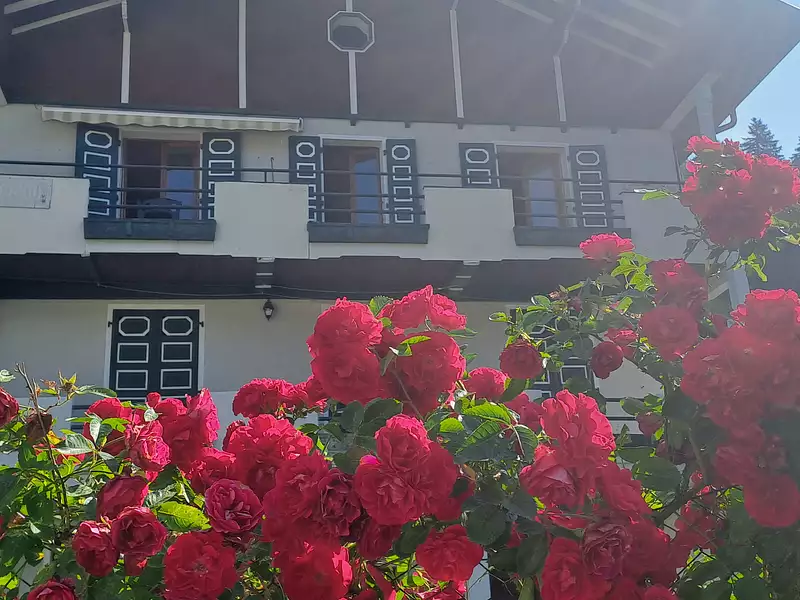 Appartement, 63,1 m²