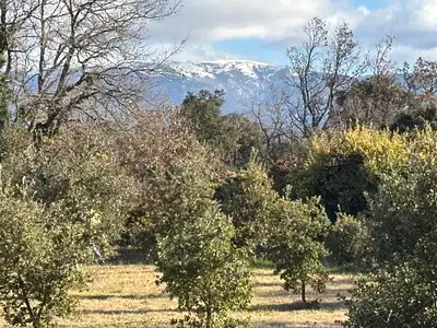 Terrain, 1 205 m²