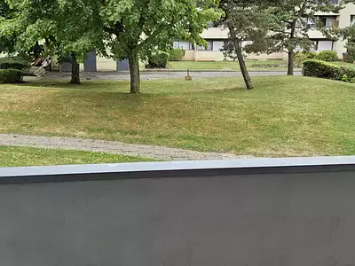 Appartement, 79,69 m²