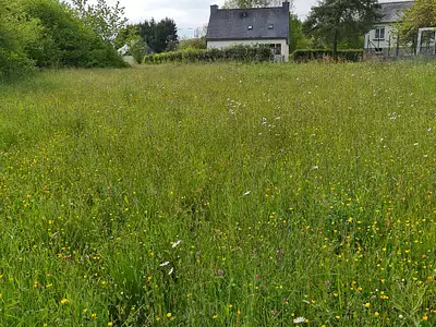 Terrain, 1 980 m²