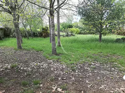 Terrain, 1 215 m²