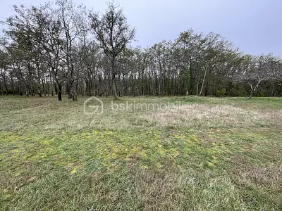 Terrain, 2 500 m²