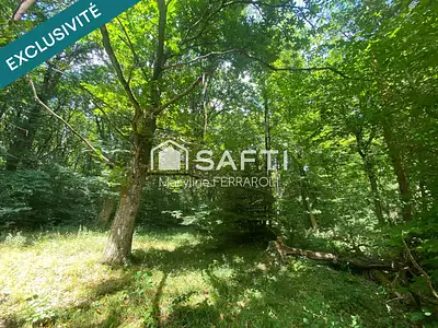 Terrain, 2 242 m²