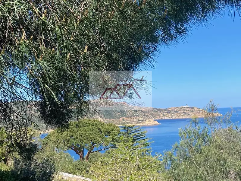 Appartement, 100,43 m²