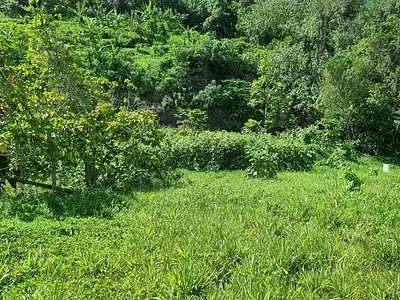 Terrain, 895 m²