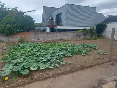 Maison, 66 m²