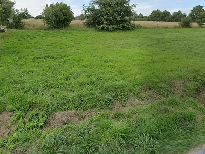 Terrain à bâtir, 390 m²