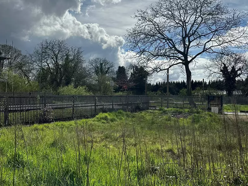 Terrain, 203 m²