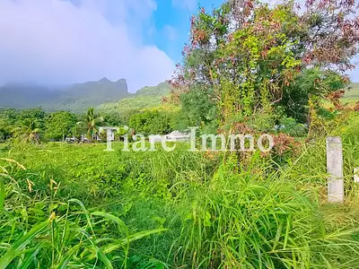 Terrain, 901 m²