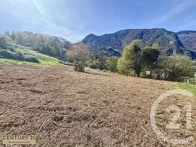 Terrain