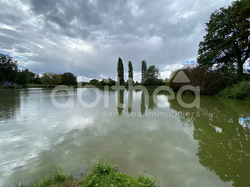 Terrain, 25 228 m²