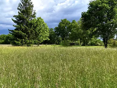 Terrain, 1 500 m²