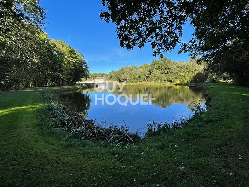 Terrain, 9 105 m²