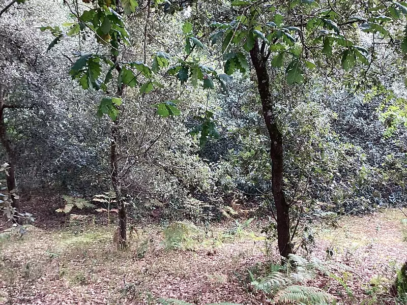 Terrain, 2 048 m²