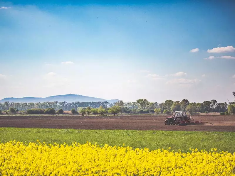 Terrain, 430 000 m²