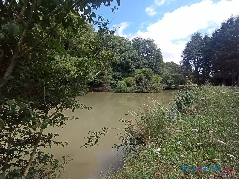 Terrain, 100 000 m²