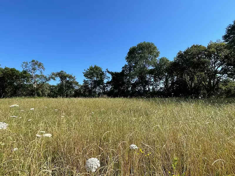 Terrain, 401 m²