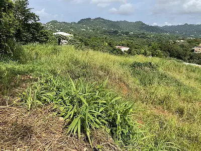Terrain, 477,99 m²
