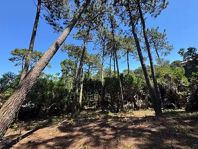 Terrain, 1 168 m²