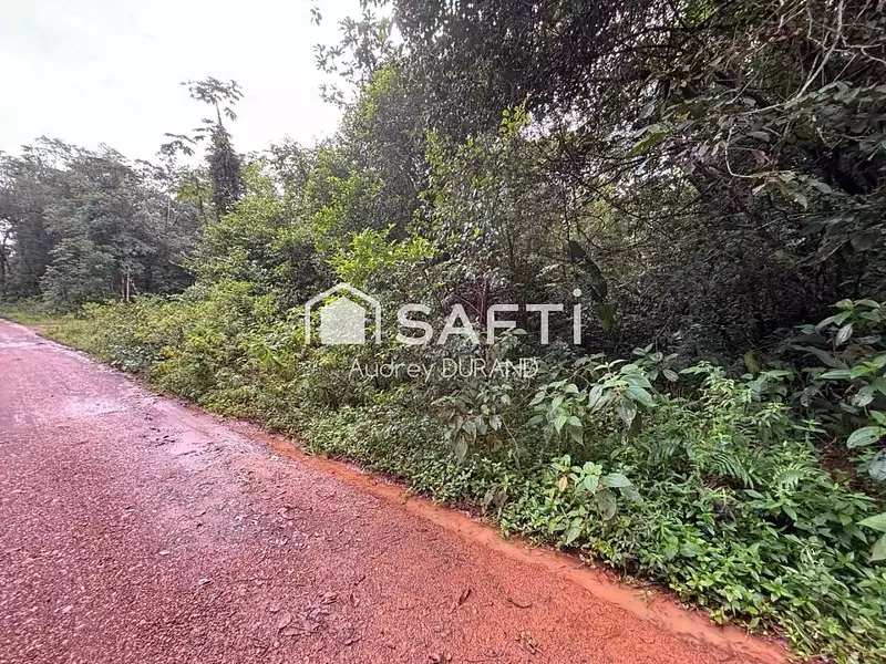 Terrain, 11 749 m²