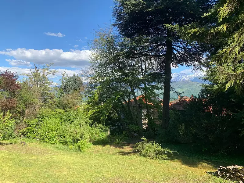 Terrain, 1 103 m²