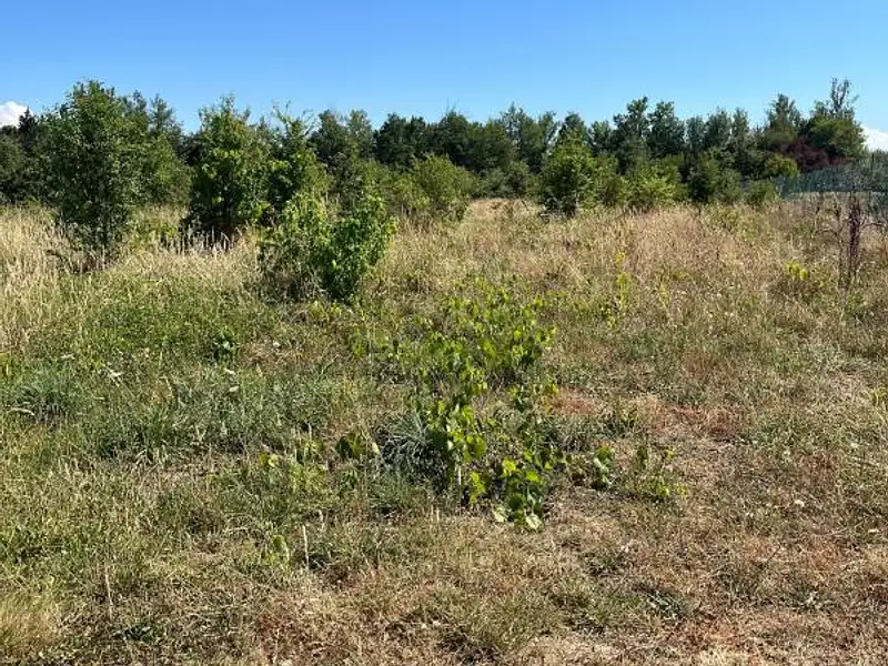 Terrain, 1 860 m²