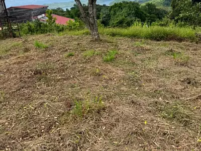 Terrain, 4 525 m²
