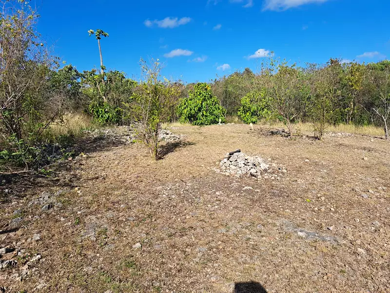 Terrain, 801 m²