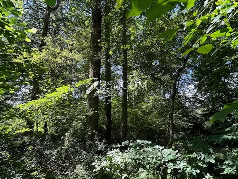 Terrain, 11 407 m²