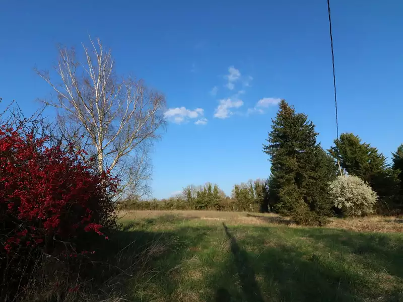 Maison, 270 m²