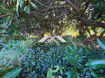 Terrain, 680 m²